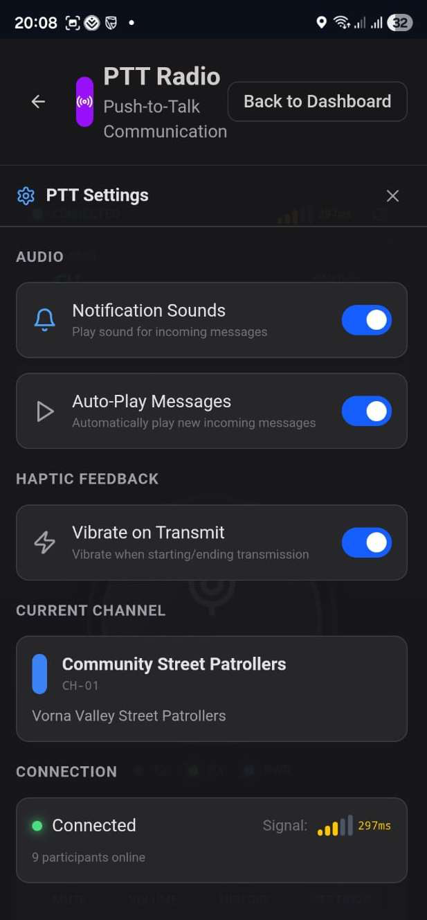 PTT Radio settings panel